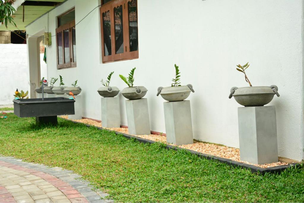 Hotel Tropical Garden Negombo Zewnętrze zdjęcie